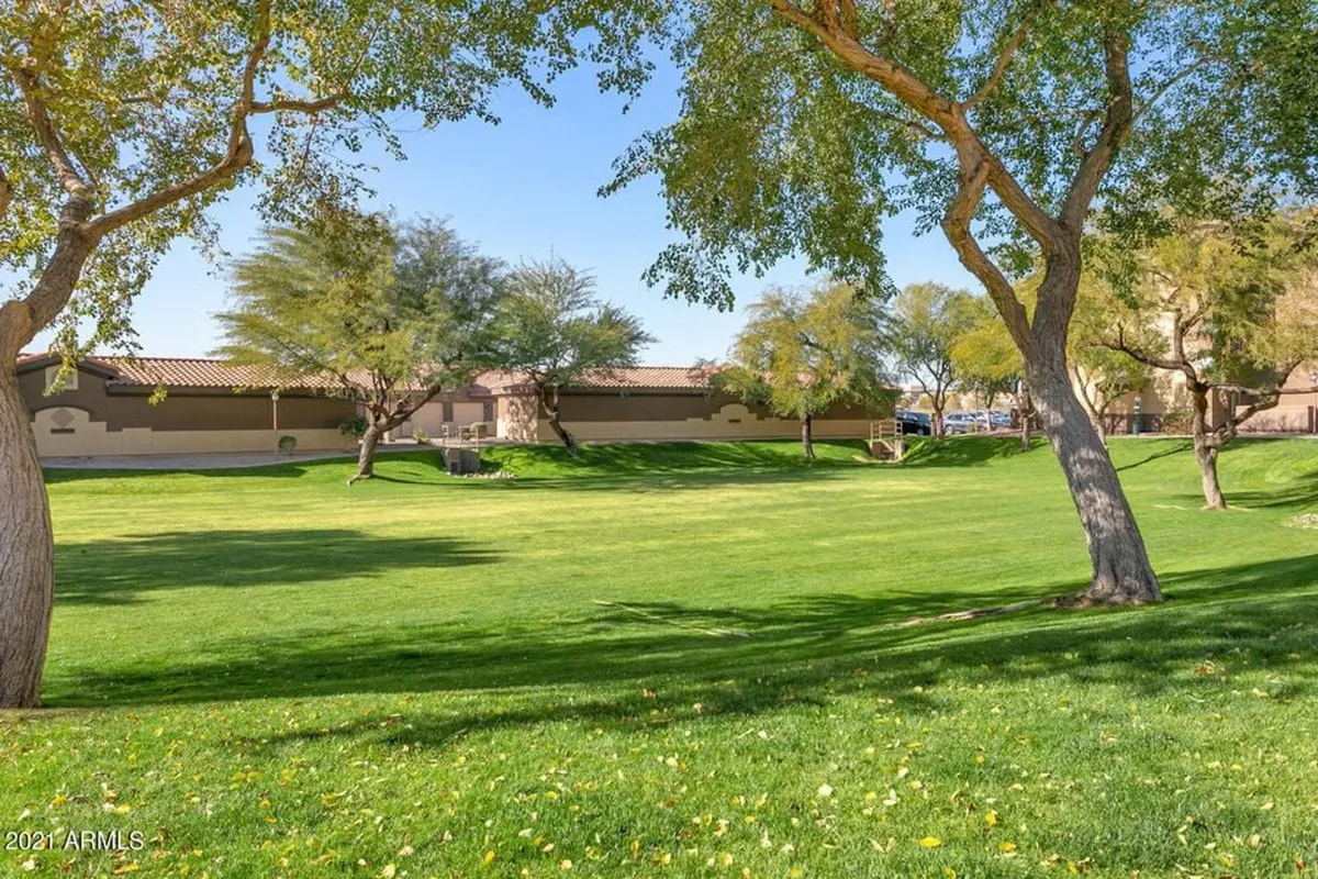 A serene exterior with a lush green lawn, mature trees, and surrounding buildings, this image captures the peaceful, open spaces ideal for group picnics, relaxation, and outdoor games.